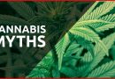 Cannabis myths as Germany moves in favor of legalizing the drug